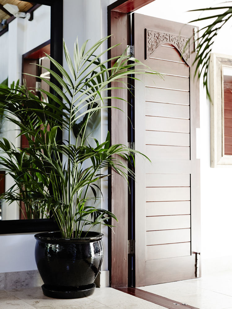 The Villas Of Byron Byron Bay Eksteriør billede
